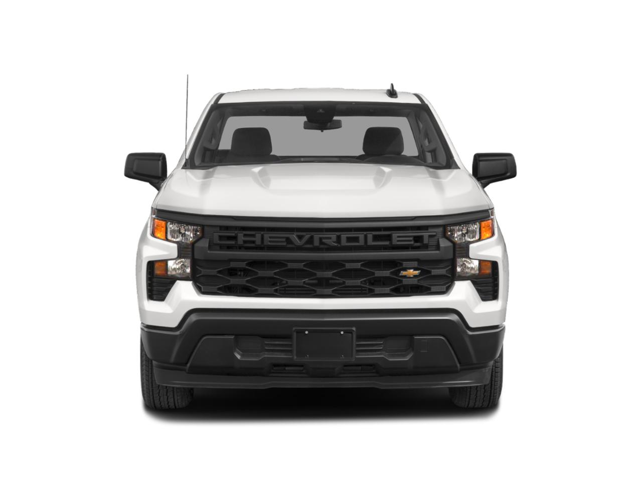 2023 Chevrolet Silverado 1500 Vehicle Photo in BARTOW, FL 33830-4397