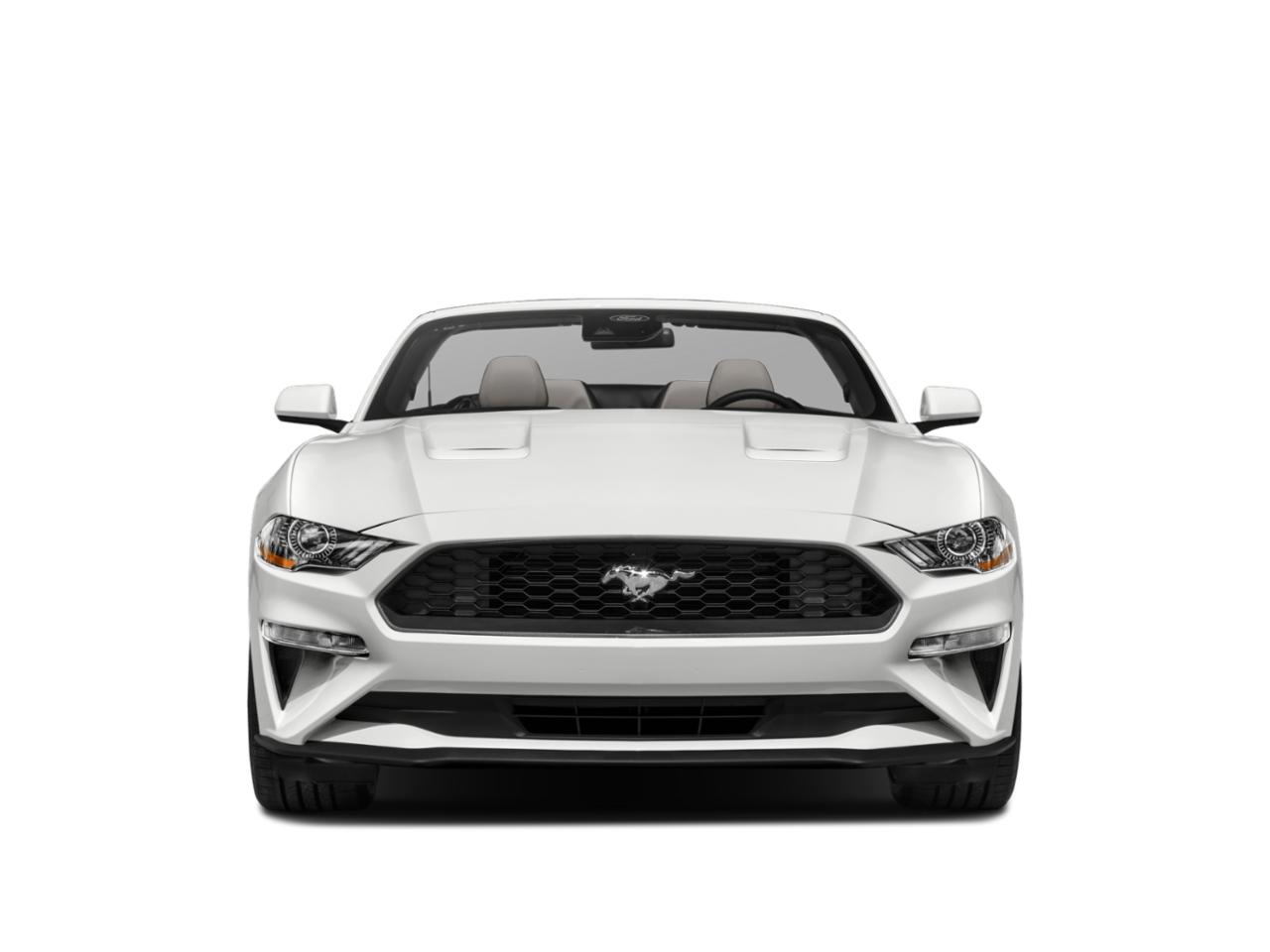 2023 Ford Mustang Vehicle Photo in Terrell, TX 75160