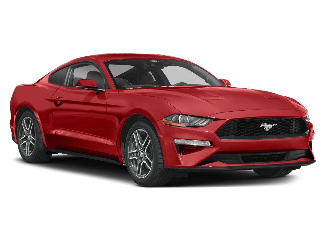 2023 Ford Mustang Vehicle Photo in Panama City, FL 32401