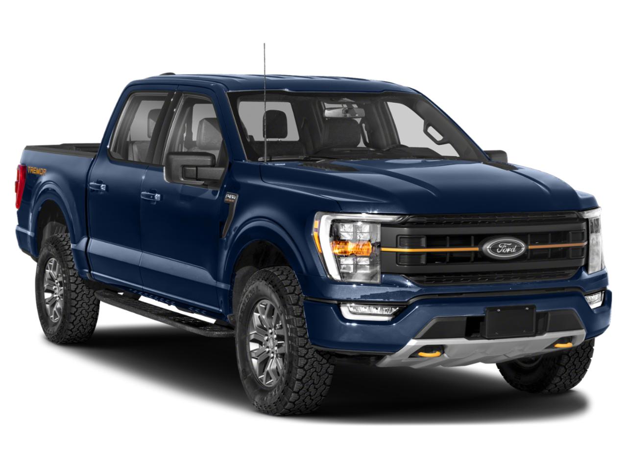 2023 Ford F-150 Vehicle Photo in Denison, TX 75020