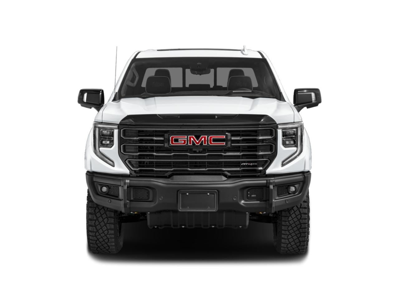 2023 GMC Sierra 1500 Vehicle Photo in Decatur, TX 76234