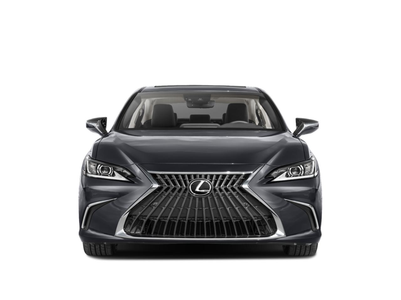 2023 Lexus ES 250 Vehicle Photo in Tampa, FL 33614