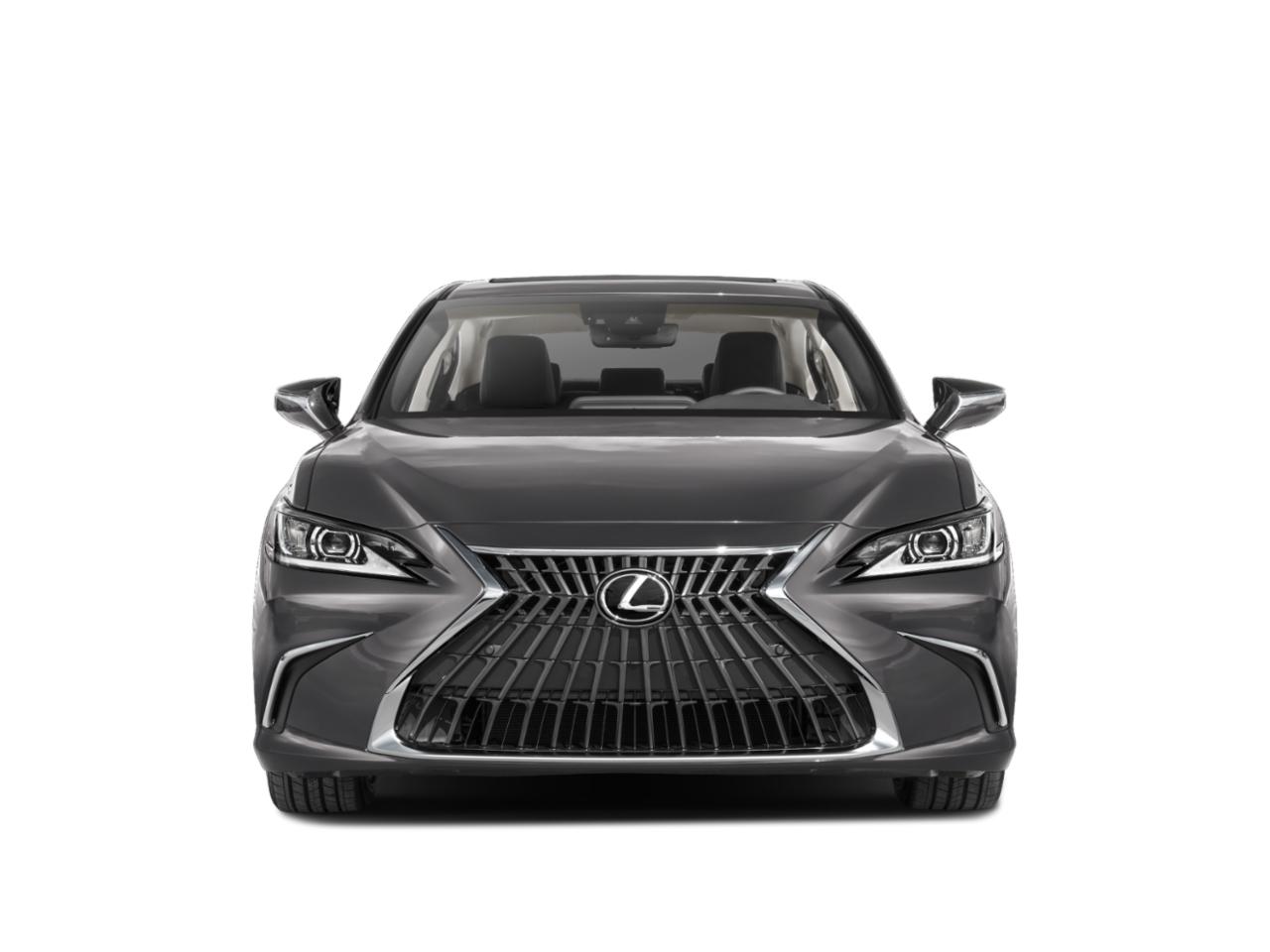 2023 Lexus ES 250 Vehicle Photo in West Palm Beach, FL 33417