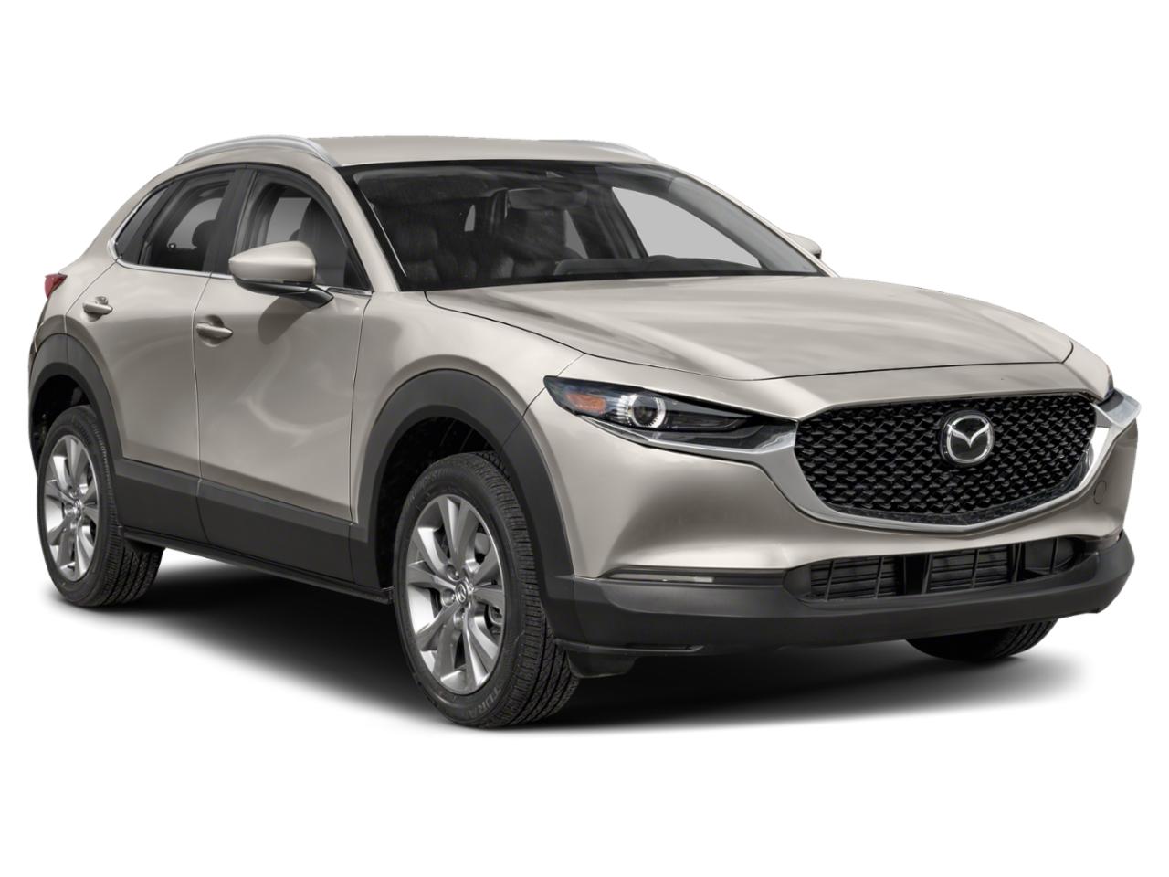 2023 Mazda CX-30 Vehicle Photo in Panama City, FL 32401