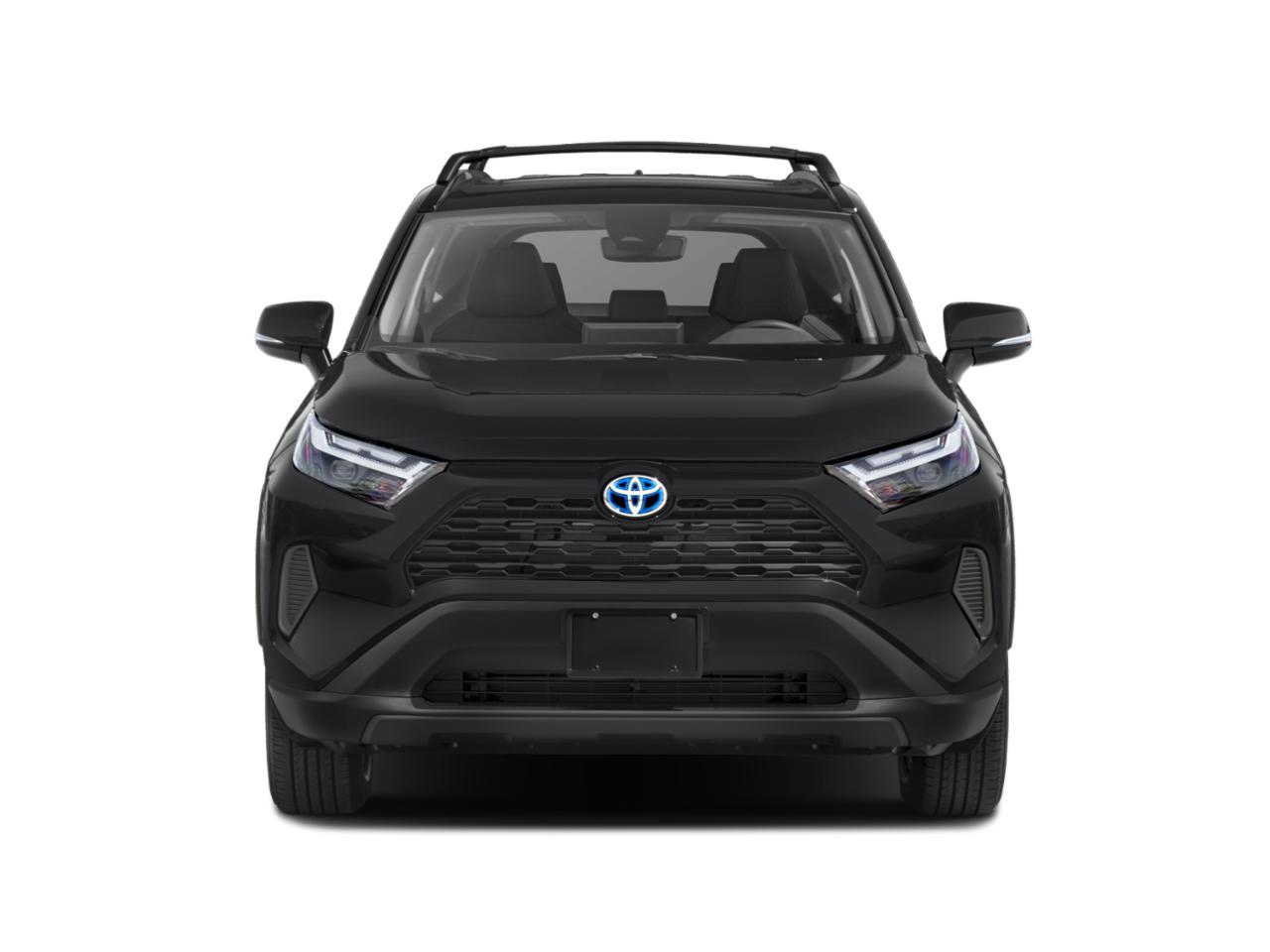 2023 Toyota RAV4 Vehicle Photo in Pinellas Park , FL 33781