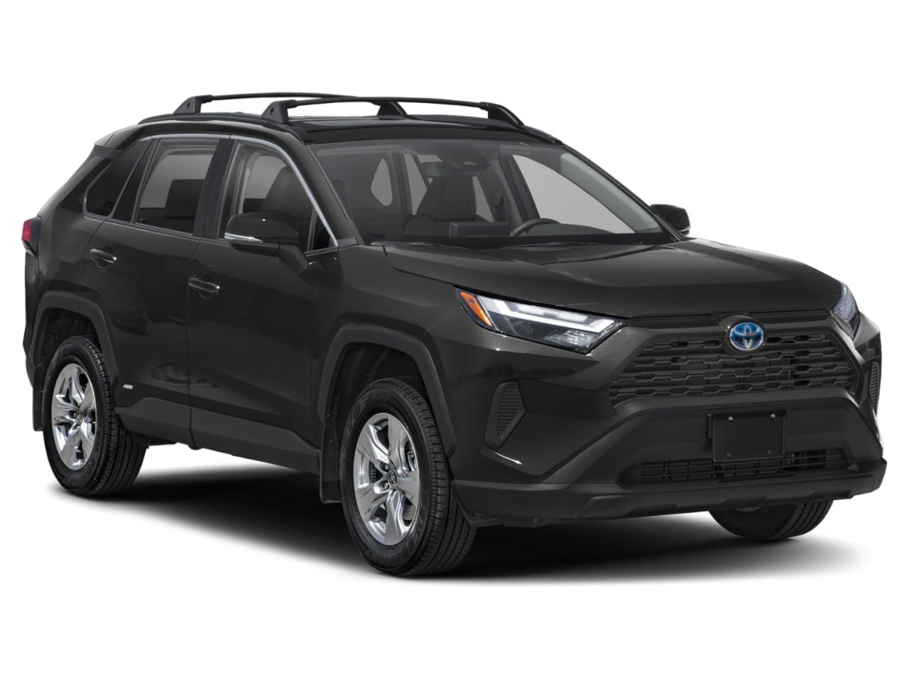 2023 Toyota RAV4 Vehicle Photo in Pinellas Park , FL 33781