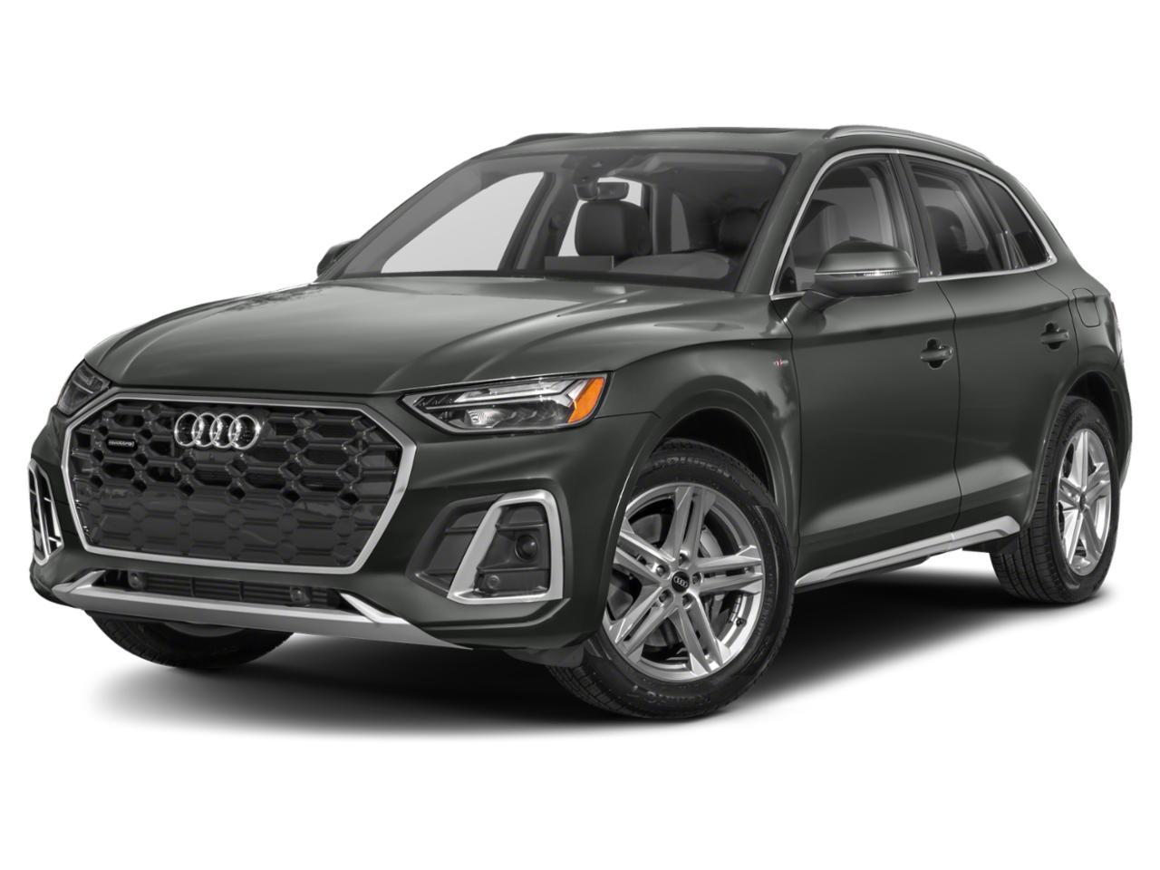 2024 Audi Q5 Vehicle Photo in Tampa, FL 33614