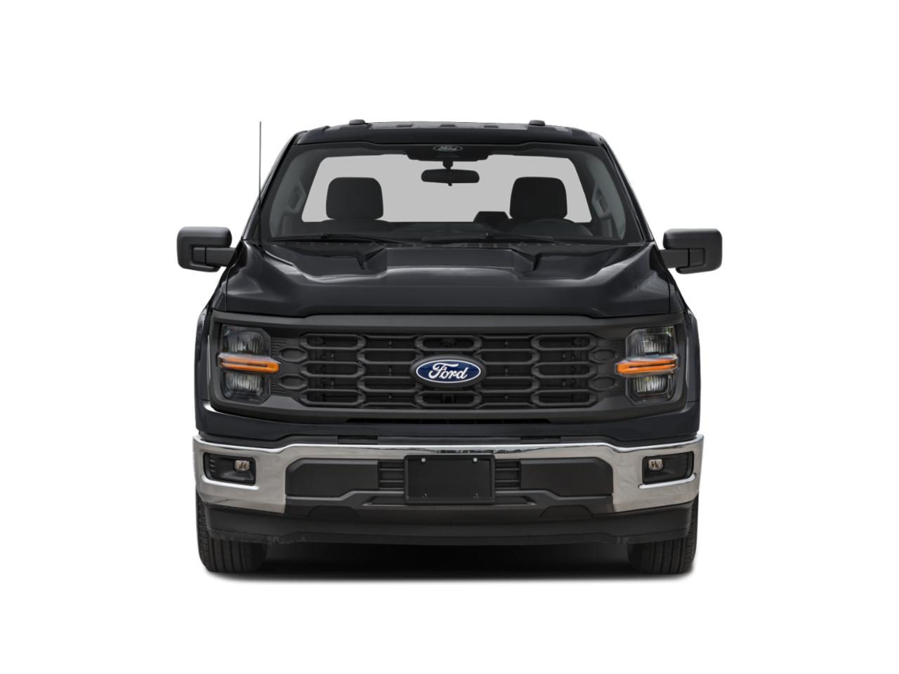 2024 Ford F-150 Vehicle Photo in Pilot Point, TX 76258