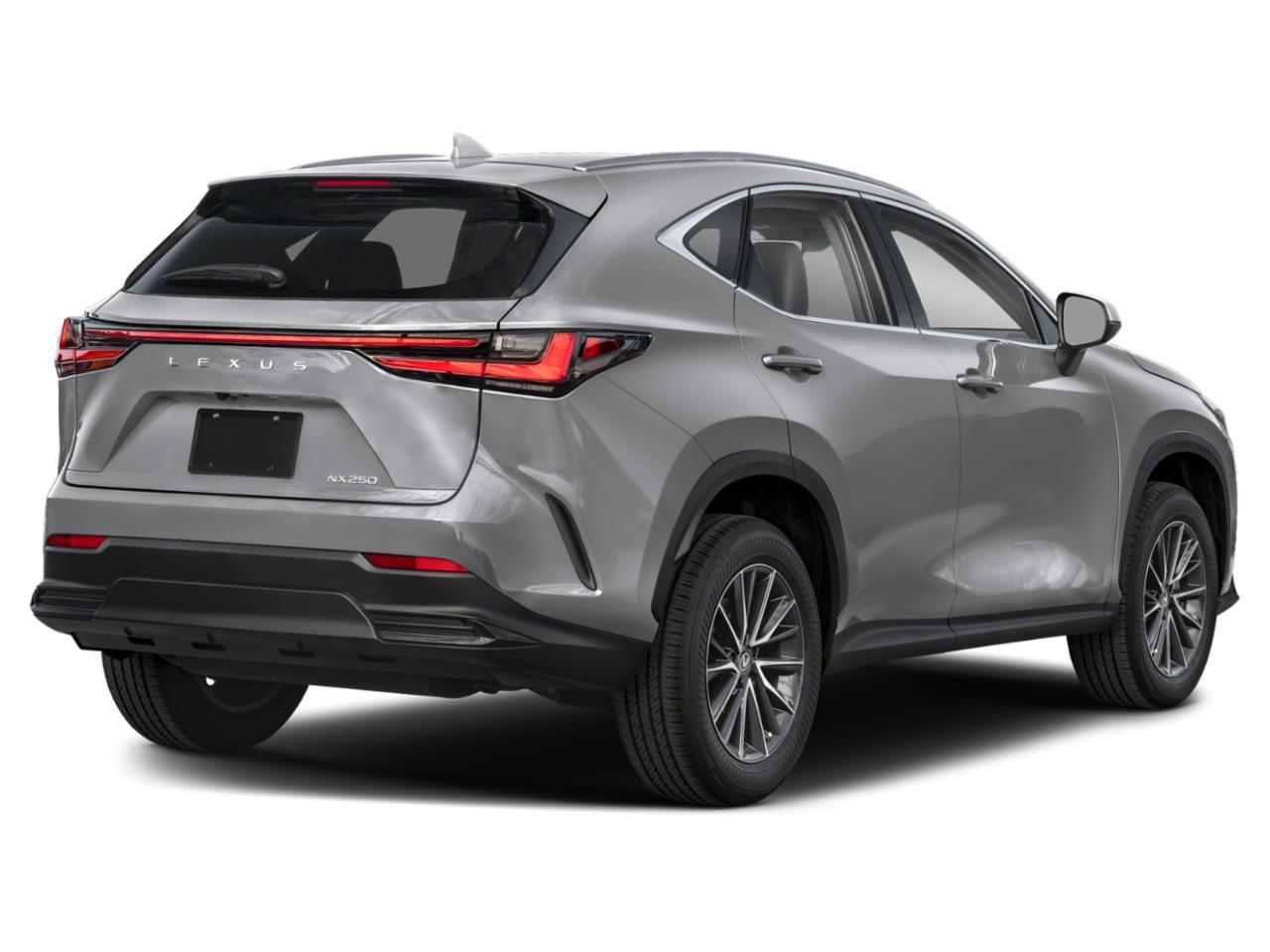 2024 Lexus NX 250 Vehicle Photo in Clearwater, FL 33761