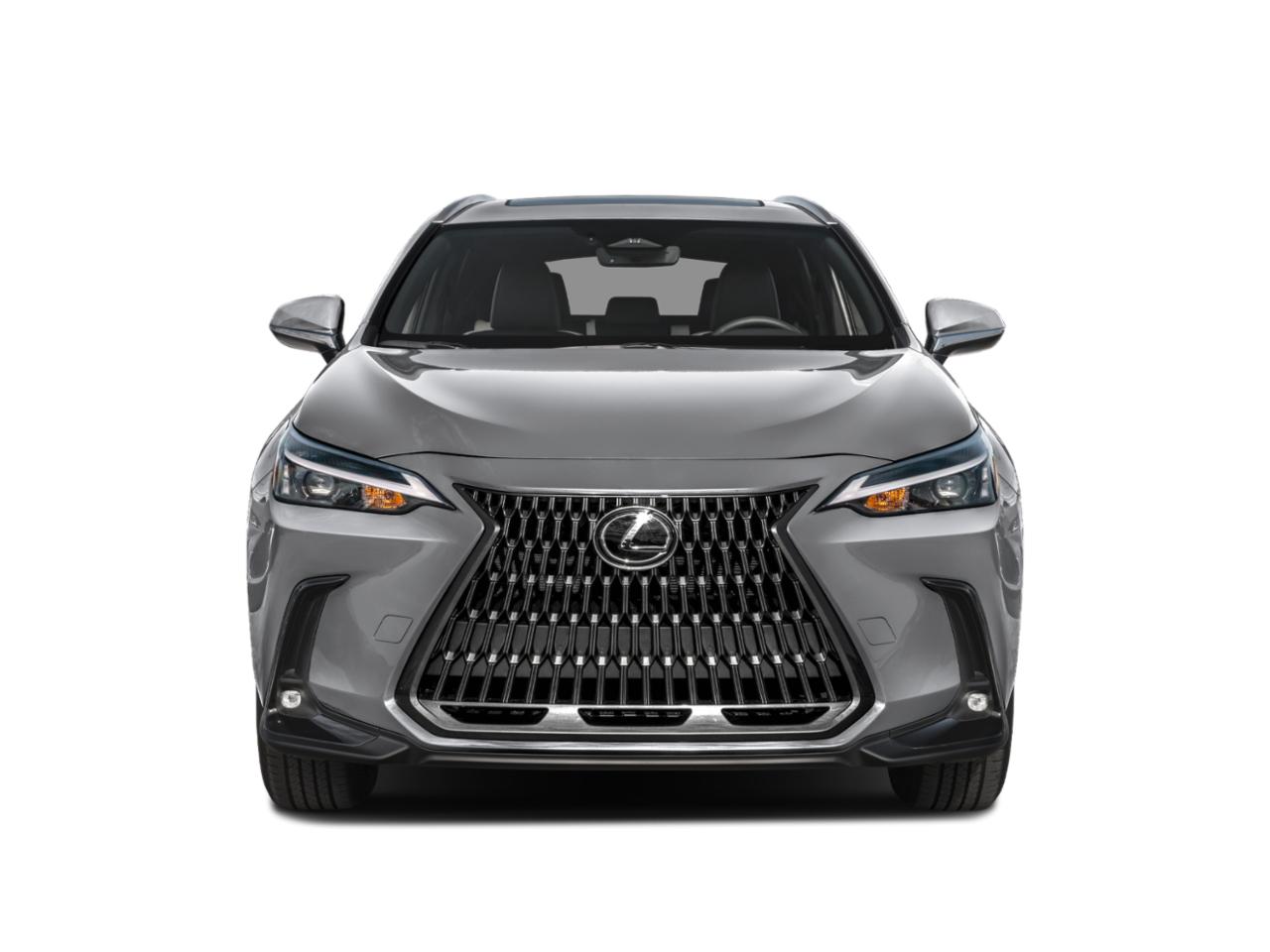 2024 Lexus NX 250 Vehicle Photo in Clearwater, FL 33761