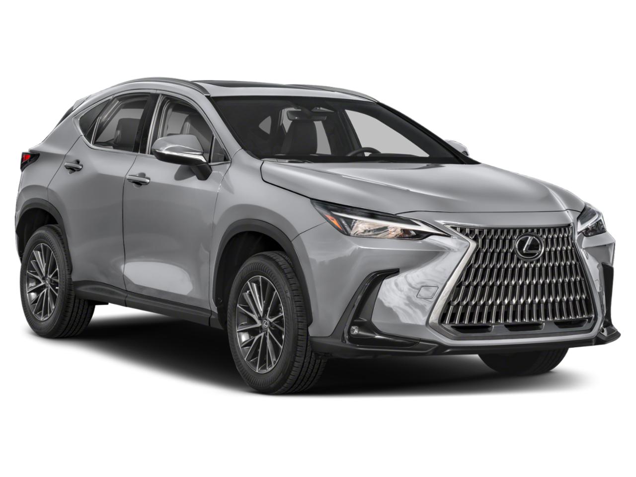 2024 Lexus NX 250 Vehicle Photo in Clearwater, FL 33761