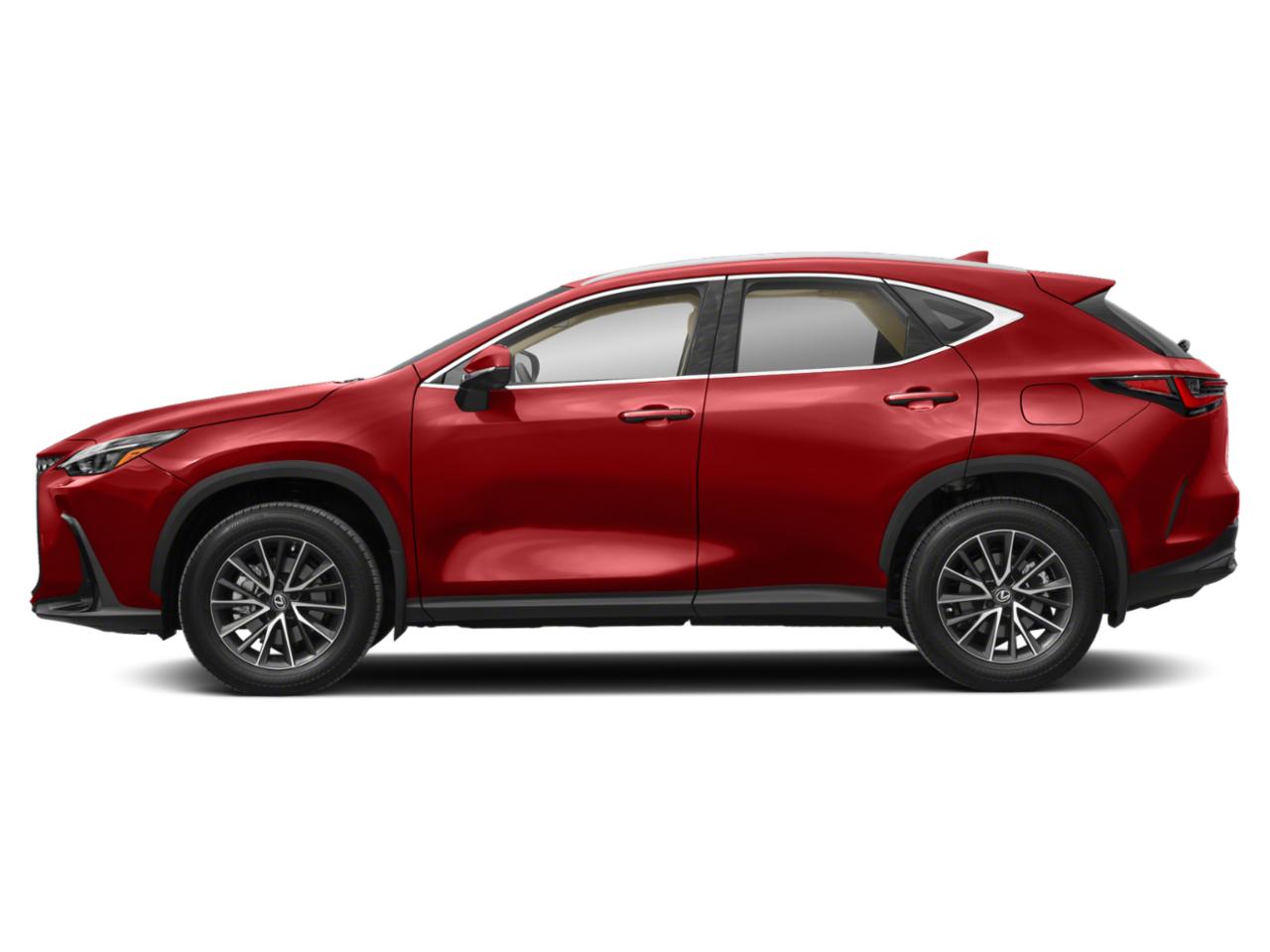 2024 Lexus NX 350 Vehicle Photo in Clearwater, FL 33761