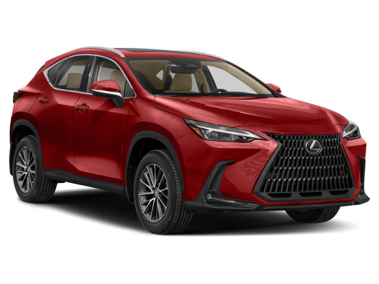 2024 Lexus NX 350 Vehicle Photo in Clearwater, FL 33761