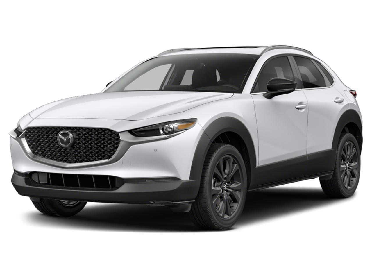 2024 Mazda CX-30 Vehicle Photo in Danville, KY 40422-2805