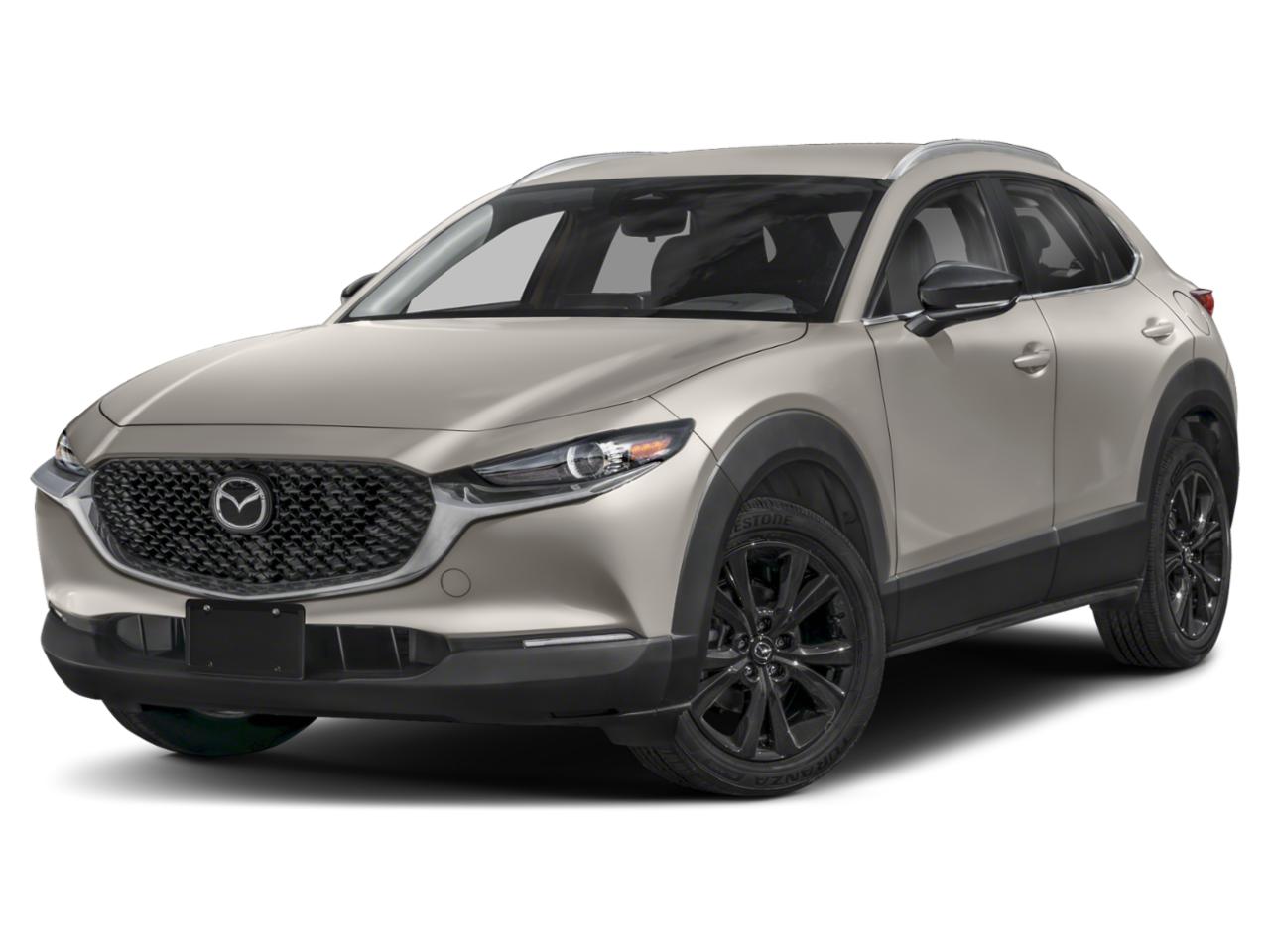 2024 Mazda CX-30 Vehicle Photo in Green Bay, WI 54304