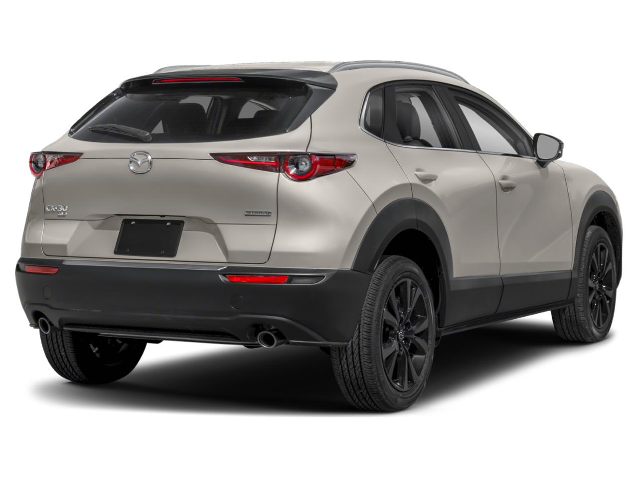 2024 Mazda CX-30 Vehicle Photo in Appleton, WI 54913