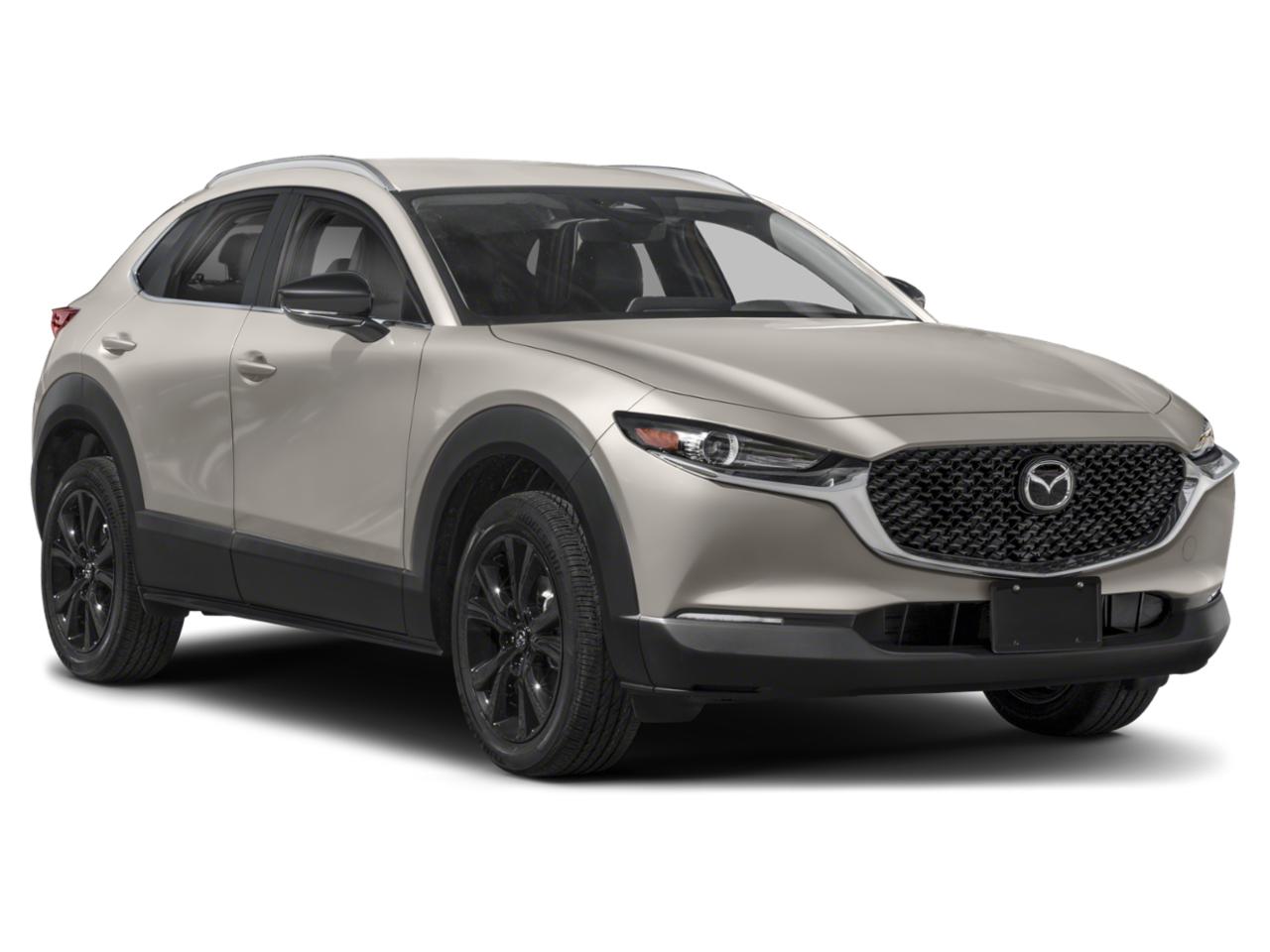 2024 Mazda CX-30 Vehicle Photo in Appleton, WI 54913