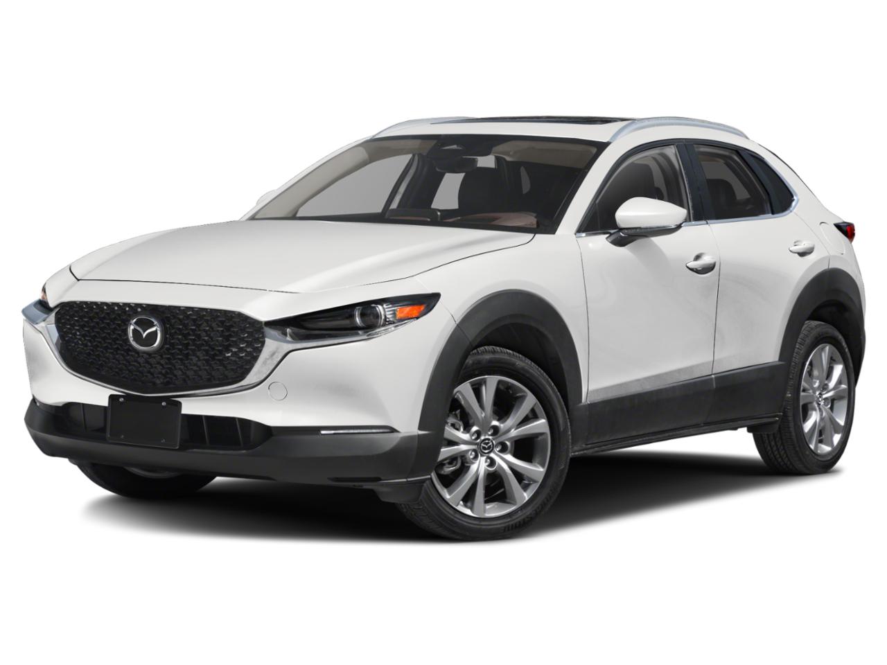 2024 Mazda CX-30 Vehicle Photo in Danville, KY 40422-2805