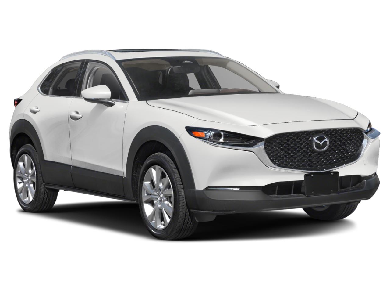 2024 Mazda CX-30 Vehicle Photo in Green Bay, WI 54304