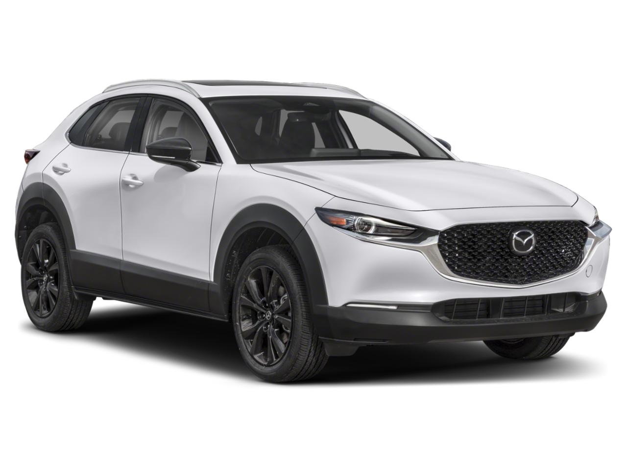 2024 Mazda CX-30 Vehicle Photo in Green Bay, WI 54304