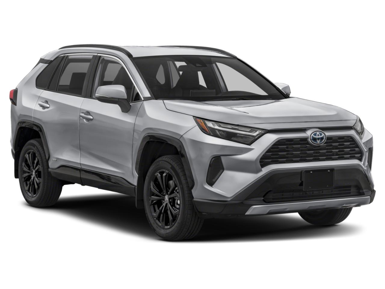 2024 Toyota RAV4 Vehicle Photo in Denison, TX 75020