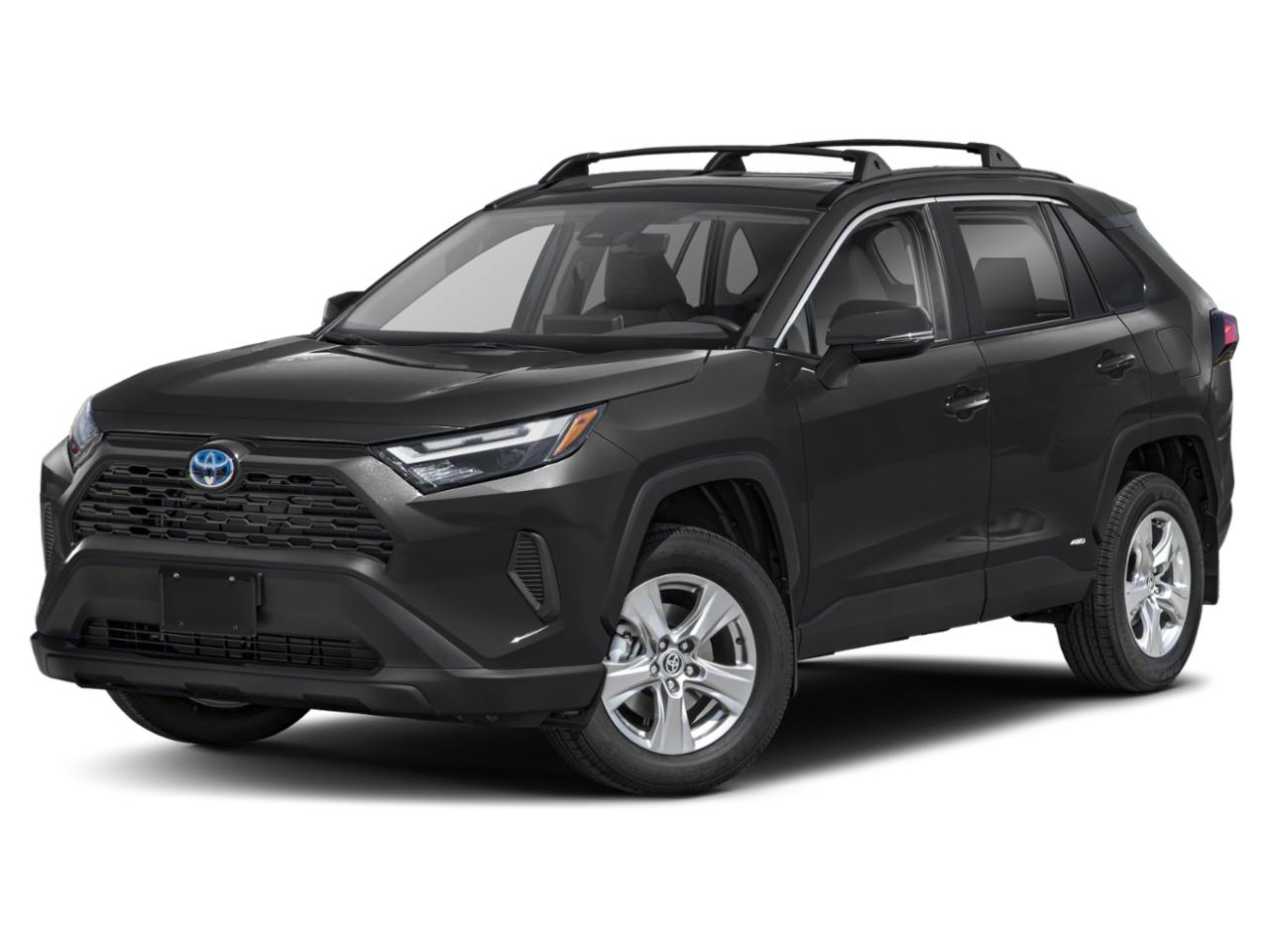 2024 Toyota RAV4 Vehicle Photo in Winter Park, FL 32792