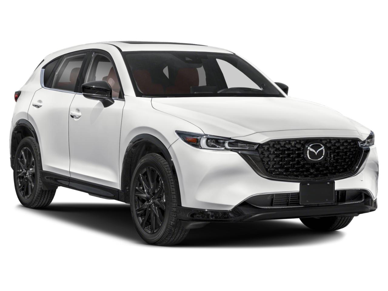 2025 Mazda CX-5 Vehicle Photo in Green Bay, WI 54304