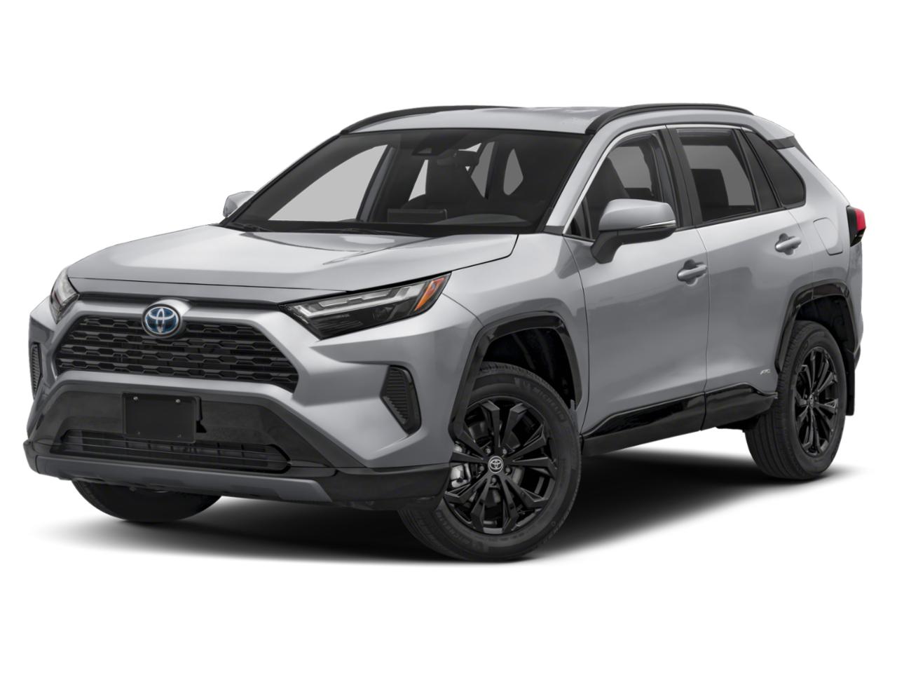 2025 Toyota RAV4 Vehicle Photo in Denison, TX 75020