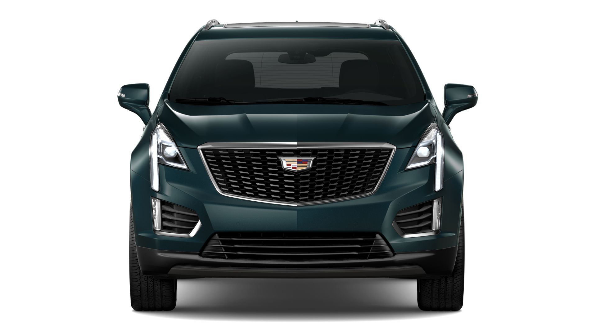 2024 Cadillac XT5 Vehicle Photo in TAMPA, FL 33612-3404