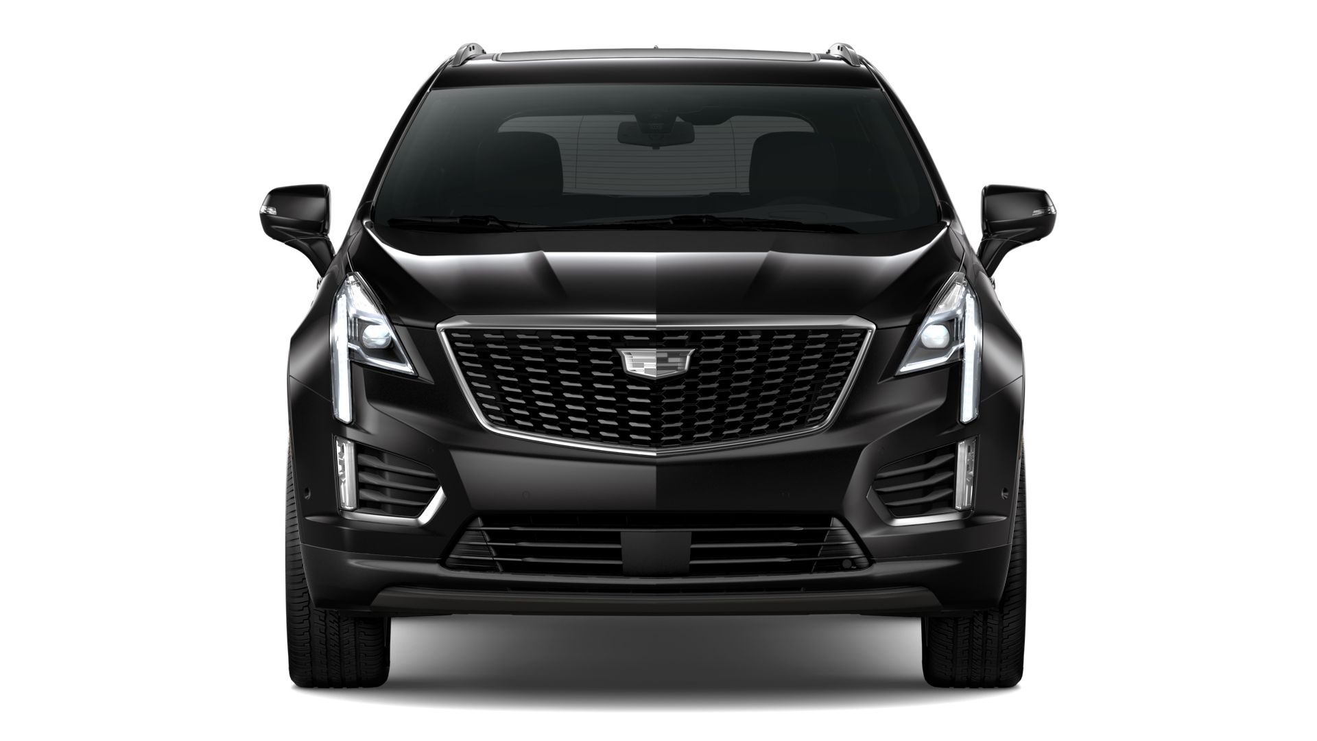 2024 Cadillac XT5 Vehicle Photo in SAN ANTONIO, TX 78230-1001