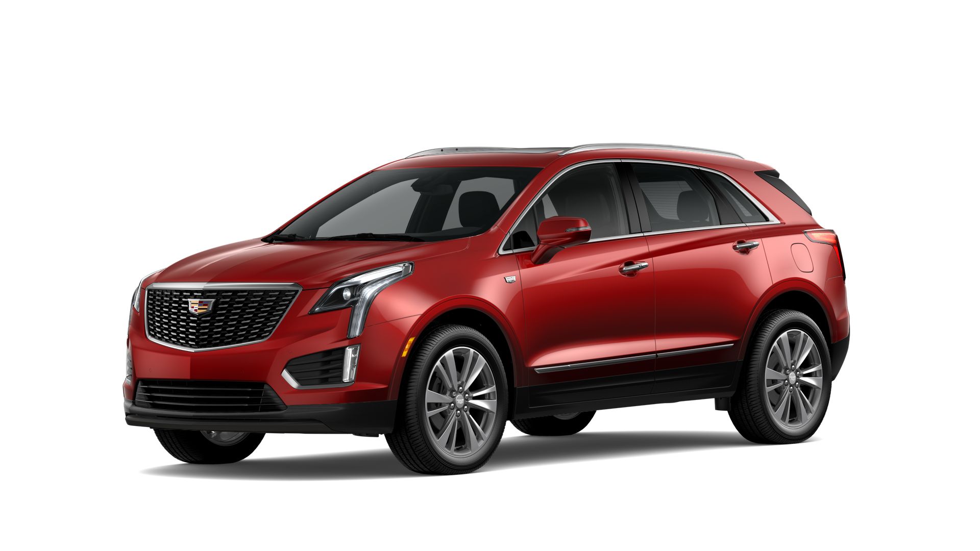 2024 Cadillac XT5 Vehicle Photo in TAMPA, FL 33612-3404