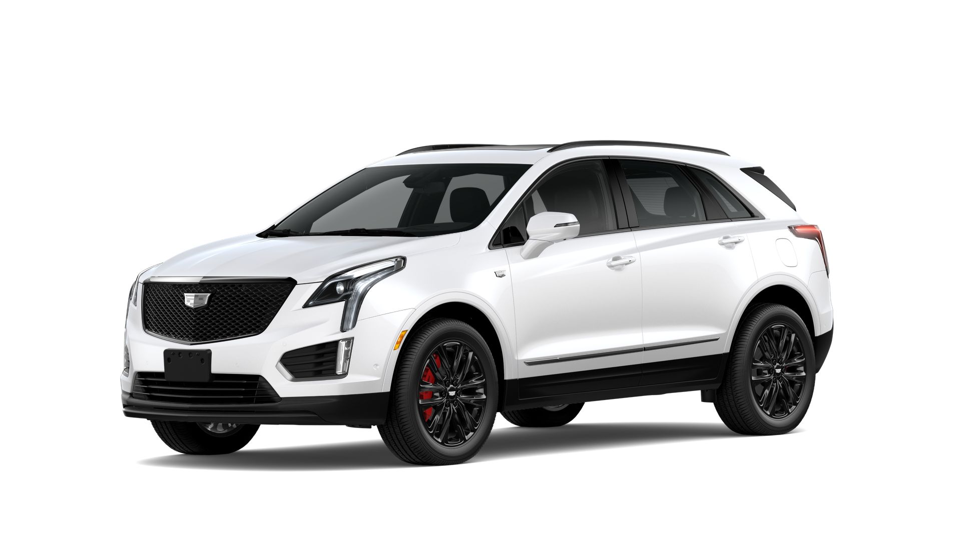 2024 Cadillac XT5 Vehicle Photo in SAN ANTONIO, TX 78230-1001