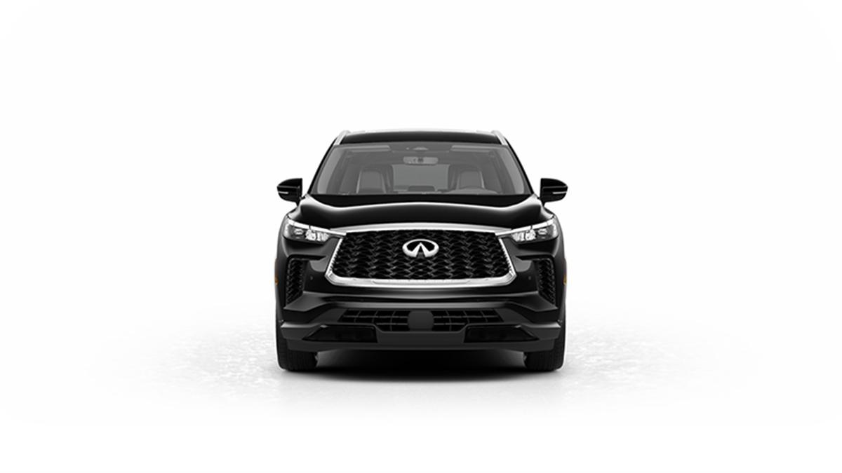 2023 INFINITI QX60 Vehicle Photo in San Antonio, TX 78230