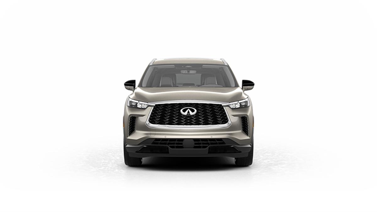 2023 INFINITI QX60 Vehicle Photo in San Antonio, TX 78230