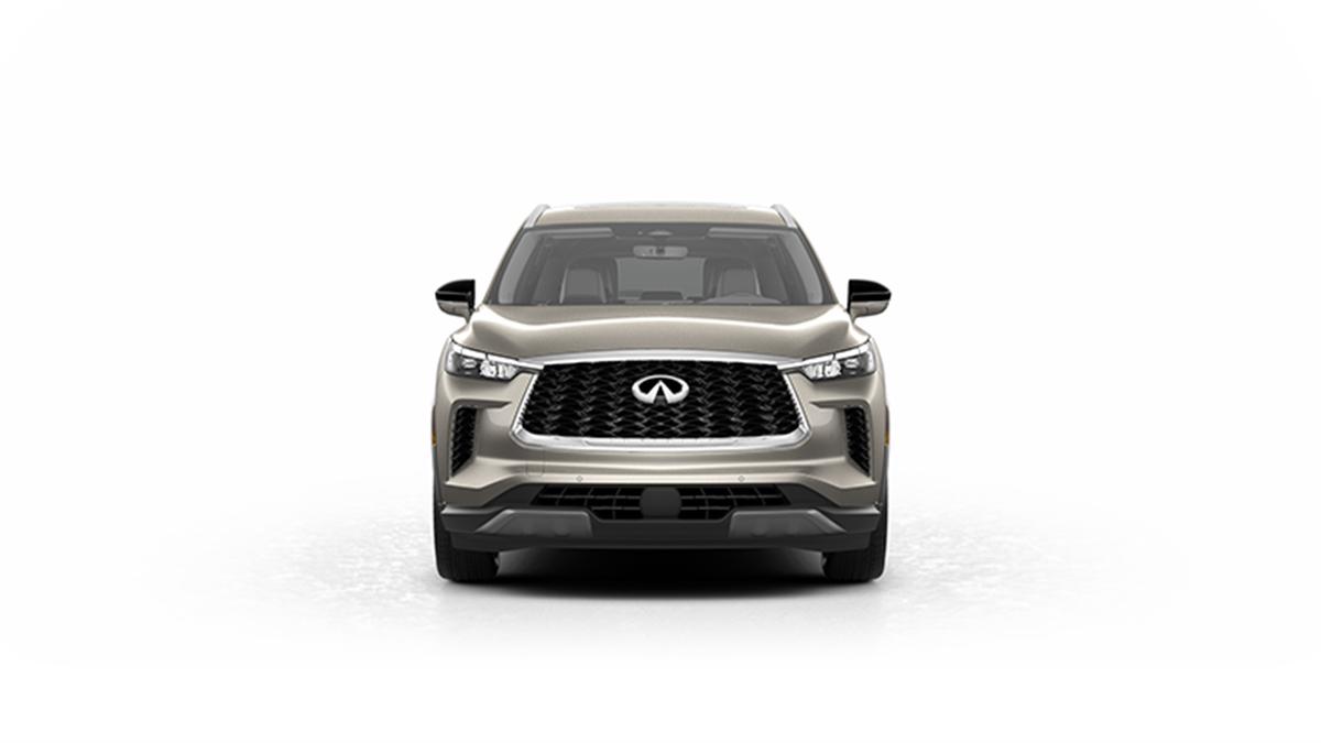 2023 INFINITI QX60 Vehicle Photo in San Antonio, TX 78230