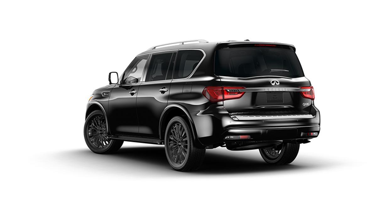 2023 INFINITI QX80 Vehicle Photo in San Antonio, TX 78230