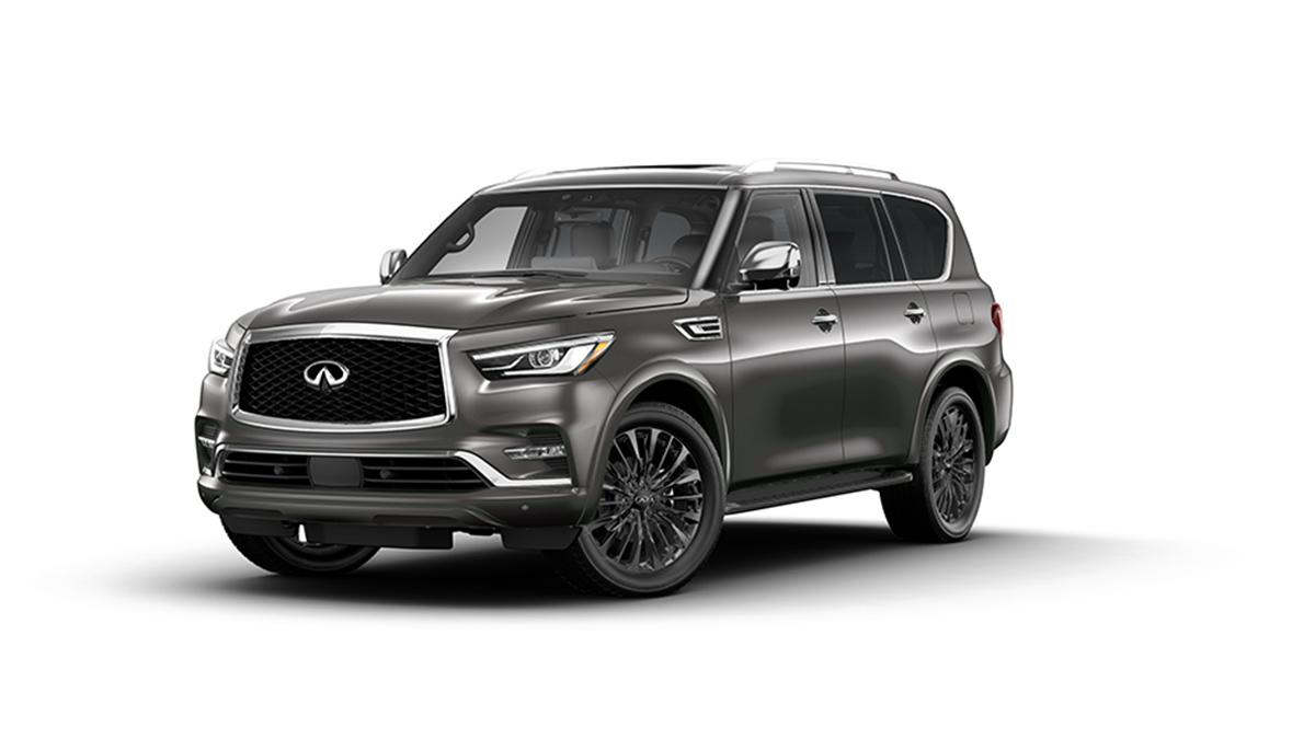 2023 INFINITI QX80 Vehicle Photo in San Antonio, TX 78230