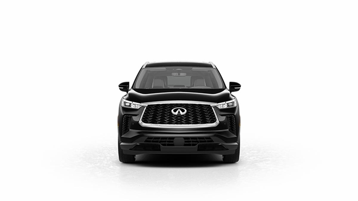 2024 INFINITI QX60 Vehicle Photo in San Antonio, TX 78230