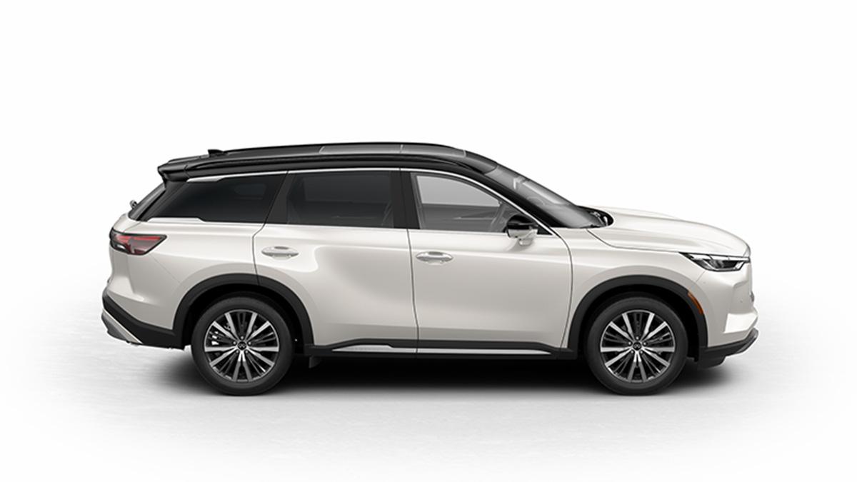 A 2024 INFINITI QX60 in Tampa FL dealer INFINITI OF TAMPA. White