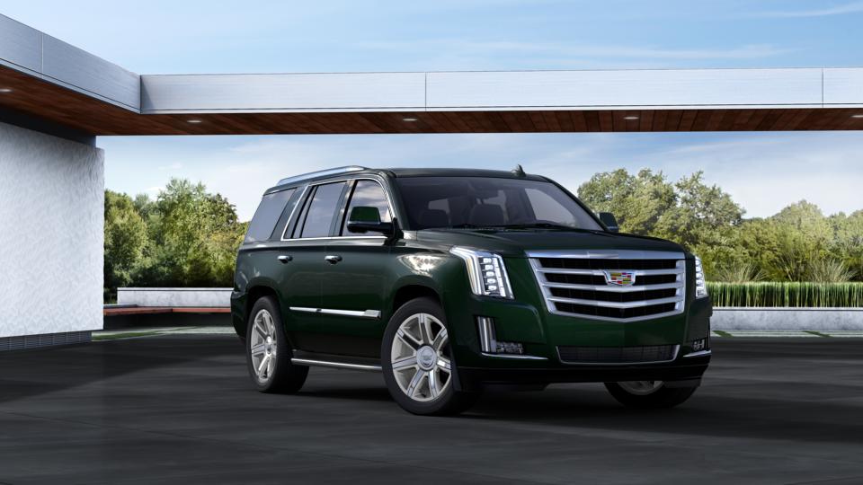 2016 Cadillac Escalade Vehicle Photo in ALLIANCE, OH 44601-4622