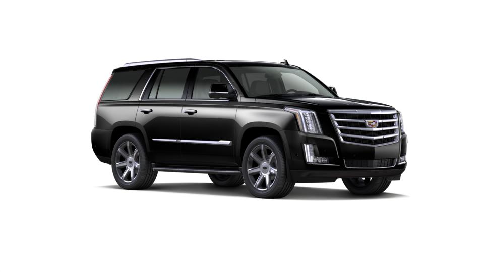 2019 Cadillac Escalade Vehicle Photo in Tampa, FL 33614