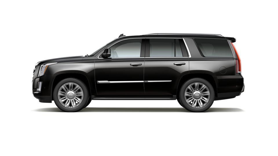 2020 Cadillac Escalade Vehicle Photo in GREEN BAY, WI 54303-3330