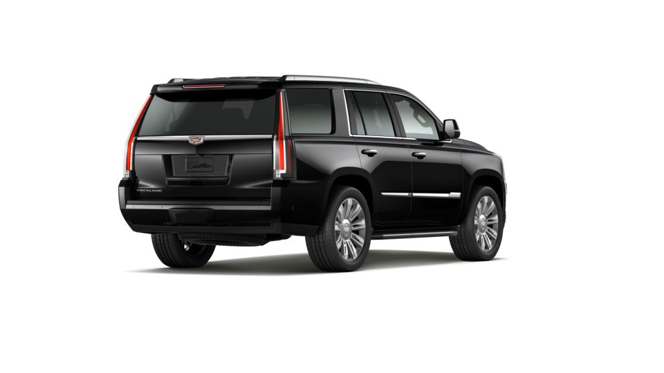 2020 Cadillac Escalade Vehicle Photo in GREEN BAY, WI 54303-3330