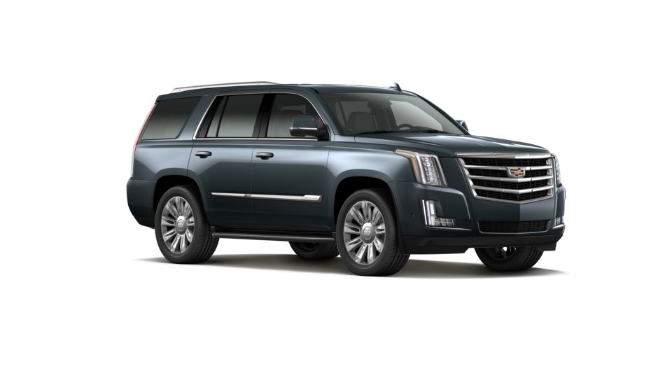 2020 Cadillac Escalade Vehicle Photo in HARRISBURG, PA 17111-1033