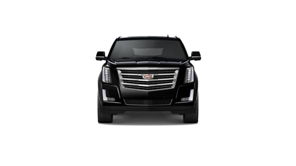 2020 Cadillac Escalade ESV Vehicle Photo in DELRAY BEACH, FL 33483-3294