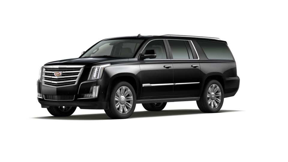 2020 Cadillac Escalade ESV Vehicle Photo in DELRAY BEACH, FL 33483-3294