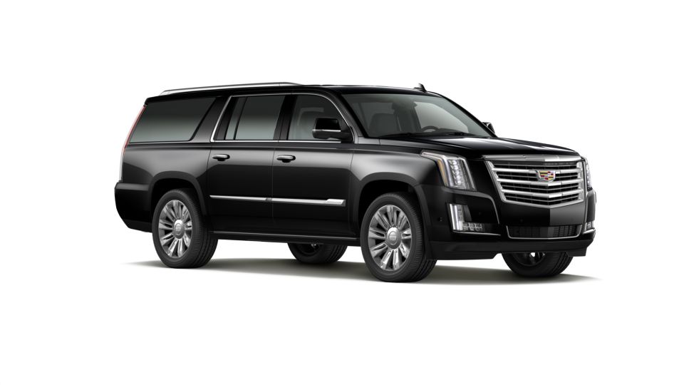 2020 Cadillac Escalade ESV Vehicle Photo in DELRAY BEACH, FL 33483-3294