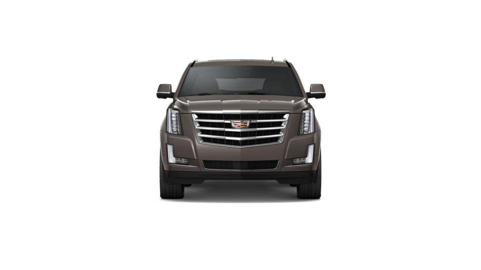 2020 Cadillac Escalade Vehicle Photo in AIKEN, SC 29801-6313