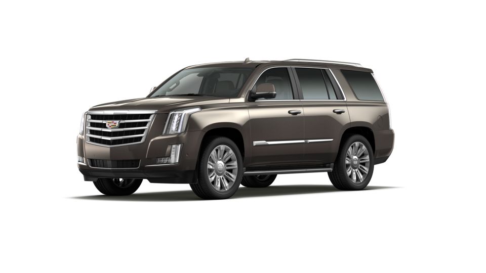 2020 Cadillac Escalade Vehicle Photo in AIKEN, SC 29801-6313