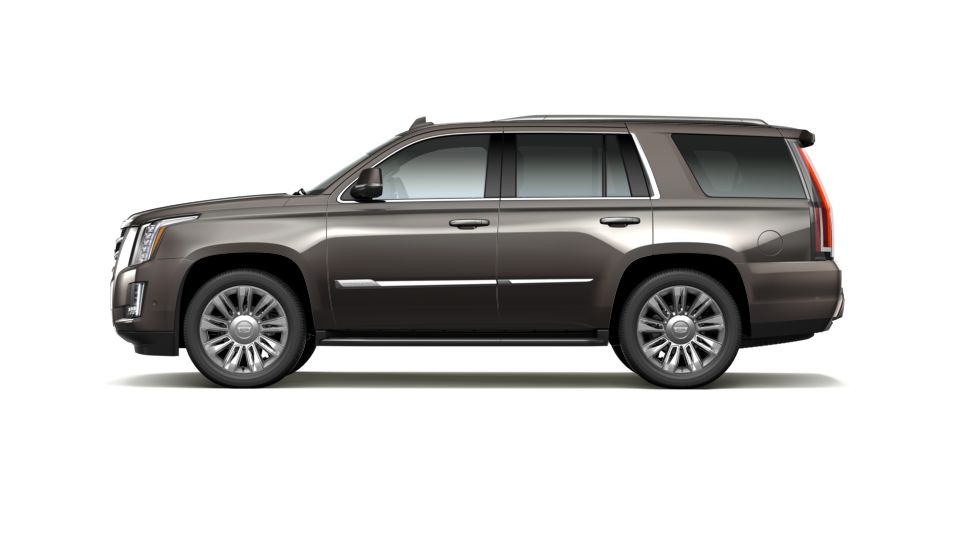 2020 Cadillac Escalade Vehicle Photo in AIKEN, SC 29801-6313